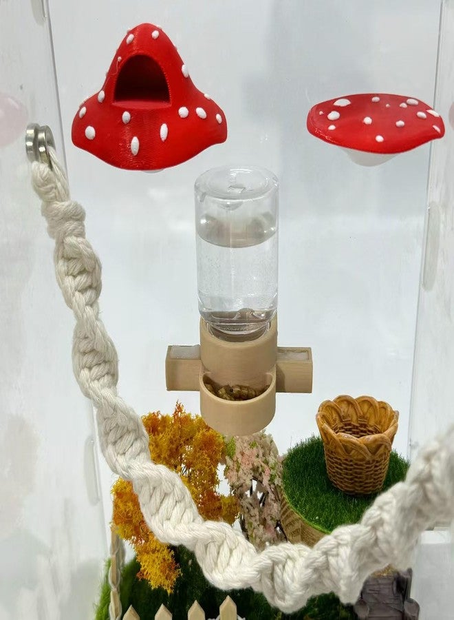 Julang Jumping Spider Accessories, Jumping Spider Water Dispenser, Magnetic Hanging Feeder with Tweezers for Jumping Spiders, Tarantulas, Praying, Mantises (Beige) - Image 4